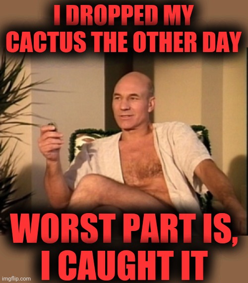 Sexual picard | I DROPPED MY CACTUS THE OTHER DAY WORST PART IS,
I CAUGHT IT | image tagged in sexual picard | made w/ Imgflip meme maker