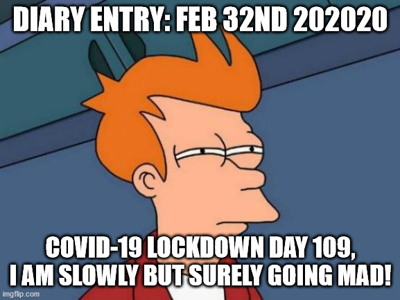 Futurama Fry Meme | DIARY ENTRY: FEB 32ND 202020; COVID-19 LOCKDOWN DAY 109, I AM SLOWLY BUT SURELY GOING MAD! | image tagged in memes,futurama fry | made w/ Imgflip meme maker