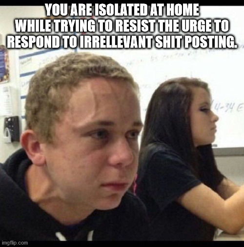 must resist | YOU ARE ISOLATED AT HOME WHILE TRYING TO RESIST THE URGE TO RESPOND TO IRRELLEVANT SHIT POSTING. | image tagged in must resist | made w/ Imgflip meme maker