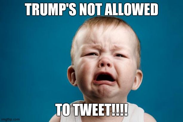 BABY CRYING | TRUMP'S NOT ALLOWED TO TWEET!!!! | image tagged in baby crying | made w/ Imgflip meme maker