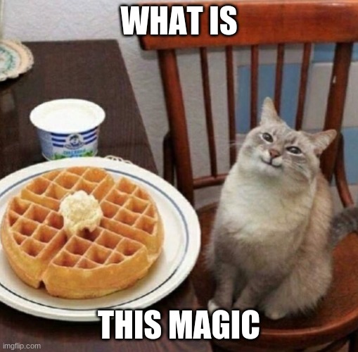 Cat likes their waffle | WHAT IS; THIS MAGIC | image tagged in cat likes their waffle | made w/ Imgflip meme maker
