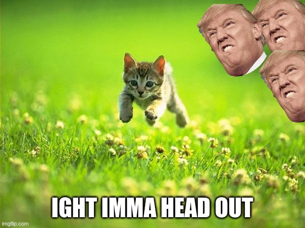 A new take on an old meme | IGHT IMMA HEAD OUT | image tagged in donald trump | made w/ Imgflip meme maker