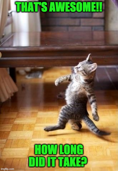 Cool Cat Stroll Meme | THAT'S AWESOME!! HOW LONG DID IT TAKE? | image tagged in memes,cool cat stroll | made w/ Imgflip meme maker