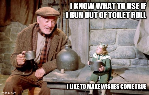 I KNOW WHAT TO USE IF I RUN OUT OF TOILET ROLL; I LIKE TO MAKE WISHES COME TRUE | image tagged in toilet paper,toilet humor | made w/ Imgflip meme maker