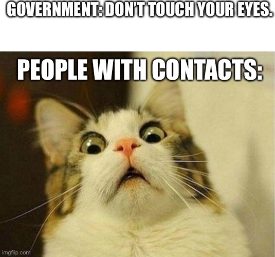 Scared Cat Meme | GOVERNMENT: DON’T TOUCH YOUR EYES. PEOPLE WITH CONTACTS: | image tagged in memes,scared cat | made w/ Imgflip meme maker