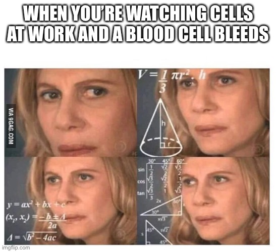 Thinking lady | WHEN YOU’RE WATCHING CELLS AT WORK AND A BLOOD CELL BLEEDS | image tagged in thinking lady | made w/ Imgflip meme maker