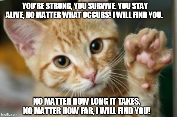 goodbye cat | YOU'RE STRONG, YOU SURVIVE. YOU STAY ALIVE, NO MATTER WHAT OCCURS! I WILL FIND YOU. NO MATTER HOW LONG IT TAKES, NO MATTER HOW FAR, I WILL FIND YOU! | image tagged in goodbye cat | made w/ Imgflip meme maker