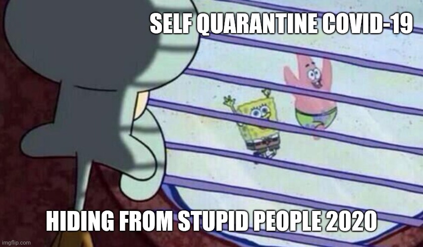 Spongebob looking out window | SELF QUARANTINE COVID-19; HIDING FROM STUPID PEOPLE 2020 | image tagged in special kind of stupid | made w/ Imgflip meme maker
