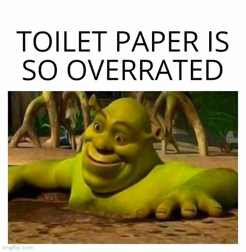 image tagged in toilet paper,toilet humor | made w/ Imgflip meme maker