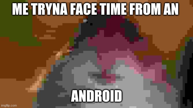 facetime hamster | ME TRYNA FACE TIME FROM AN; ANDROID | image tagged in facetime hamster,funny,funny memes,android | made w/ Imgflip meme maker