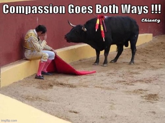 Compassion | 𝓒𝓱𝓲𝓪𝓷𝓽𝔂 | image tagged in why not both | made w/ Imgflip meme maker