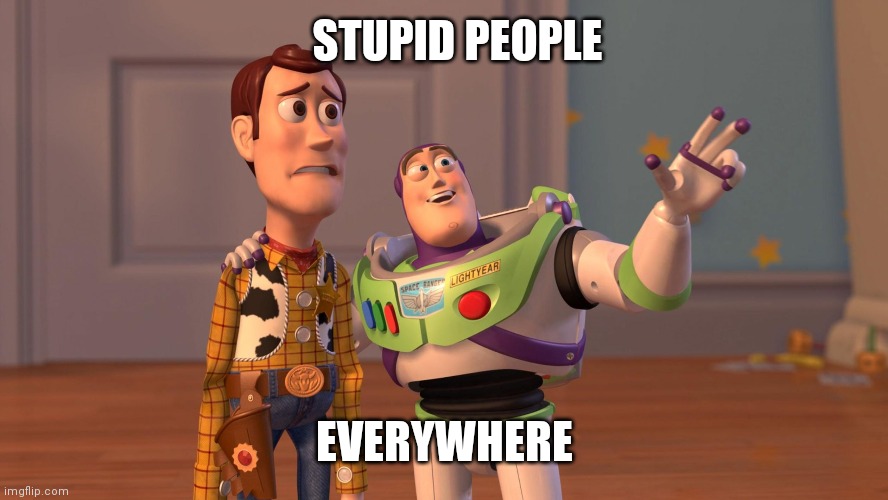 Woody and Buzz Lightyear Everywhere Widescreen | STUPID PEOPLE; EVERYWHERE | image tagged in woody and buzz lightyear everywhere widescreen | made w/ Imgflip meme maker