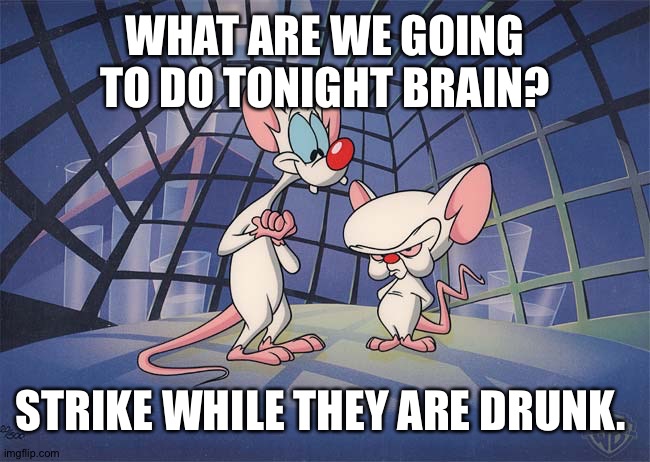 pinky and the brain | WHAT ARE WE GOING TO DO TONIGHT BRAIN? STRIKE WHILE THEY ARE DRUNK. | image tagged in pinky and the brain | made w/ Imgflip meme maker