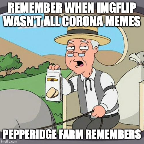 I remember..... | REMEMBER WHEN IMGFLIP WASN'T ALL CORONA MEMES; PEPPERIDGE FARM REMEMBERS | image tagged in memes,pepperidge farm remembers | made w/ Imgflip meme maker