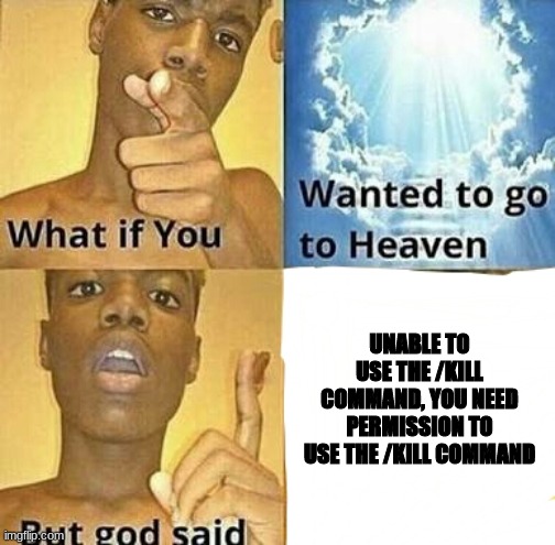 Minecraft be like | UNABLE TO USE THE /KILL COMMAND, YOU NEED PERMISSION TO USE THE /KILL COMMAND | image tagged in what if you wanted to go to heaven | made w/ Imgflip meme maker