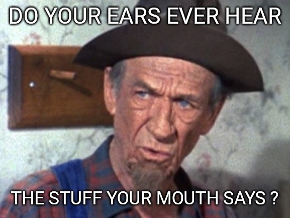 Fred Ziffel | DO YOUR EARS EVER HEAR; THE STUFF YOUR MOUTH SAYS ? | image tagged in memes,freddy,dumb people,hearing,stop talking | made w/ Imgflip meme maker