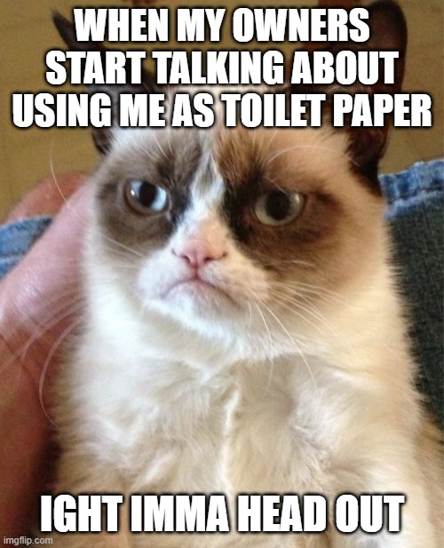 Grumpy Cat Meme | WHEN MY OWNERS START TALKING ABOUT USING ME AS TOILET PAPER; IGHT IMMA HEAD OUT | image tagged in memes,grumpy cat | made w/ Imgflip meme maker