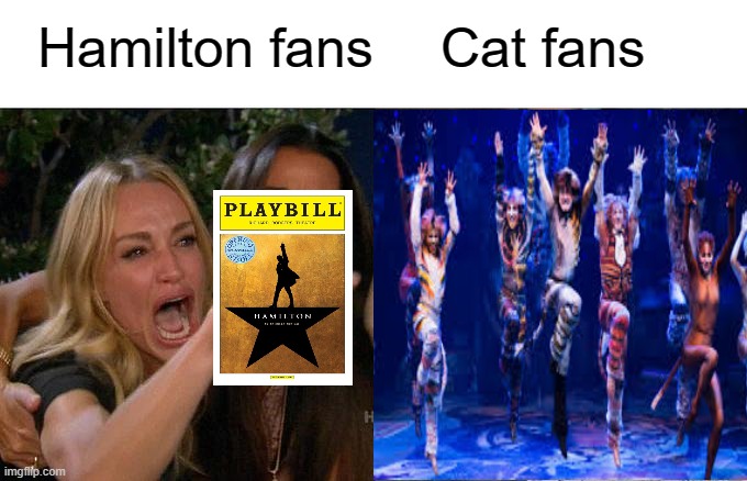 Hamilton fans; Cat fans | image tagged in cats,hamilton,theater,broadway | made w/ Imgflip meme maker