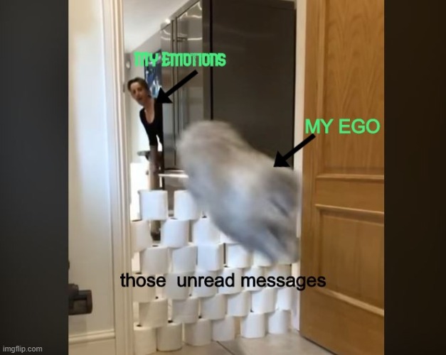my cats ego | image tagged in cats,ego,funny cats,cats are awesome,pride cats | made w/ Imgflip meme maker