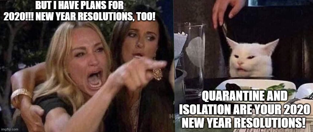 woman yelling at cat | BUT I HAVE PLANS FOR 2020!!! NEW YEAR RESOLUTIONS, TOO! QUARANTINE AND ISOLATION ARE YOUR 2020 NEW YEAR RESOLUTIONS! | image tagged in woman yelling at cat | made w/ Imgflip meme maker