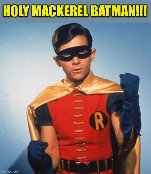 Robin | HOLY MACKEREL BATMAN!!! | image tagged in robin | made w/ Imgflip meme maker