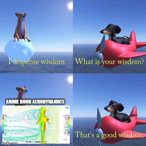 Wisdom dog | ANIME BOOB AERODYNAMICS | image tagged in wisdom dog | made w/ Imgflip meme maker