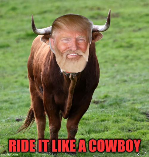 Ride it like a cowboy | RIDE IT LIKE A COWBOY | image tagged in donald trump | made w/ Imgflip meme maker
