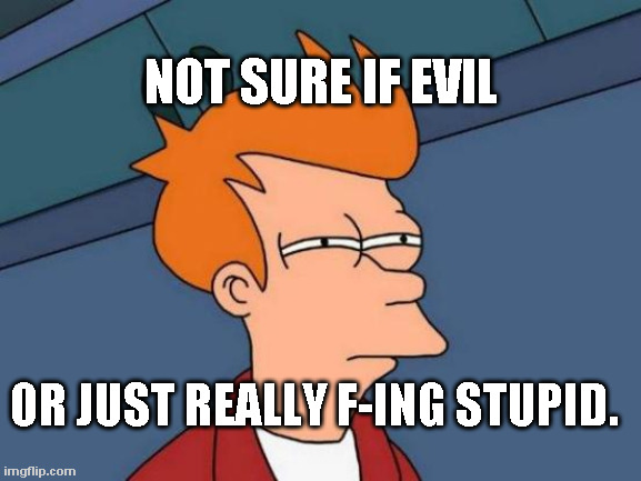 Dubious Fry | NOT SURE IF EVIL; OR JUST REALLY F-ING STUPID. | image tagged in memes,futurama fry | made w/ Imgflip meme maker
