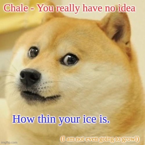 Doge Meme | Chale - You really have no idea; How thin your ice is. (I am not even going to growl) | image tagged in memes,doge | made w/ Imgflip meme maker