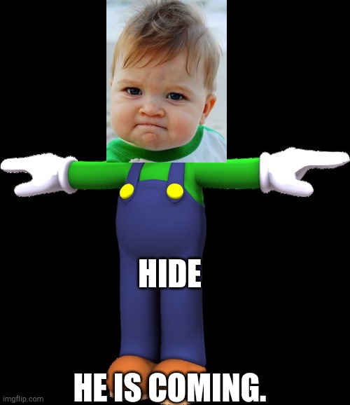 Luigi T Pose | HIDE; HE IS COMING. | image tagged in luigi t pose | made w/ Imgflip meme maker