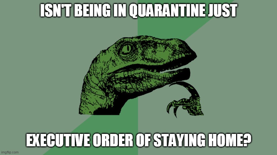Philosophy Dinosaur | ISN'T BEING IN QUARANTINE JUST; EXECUTIVE ORDER OF STAYING HOME? | image tagged in philosophy dinosaur | made w/ Imgflip meme maker