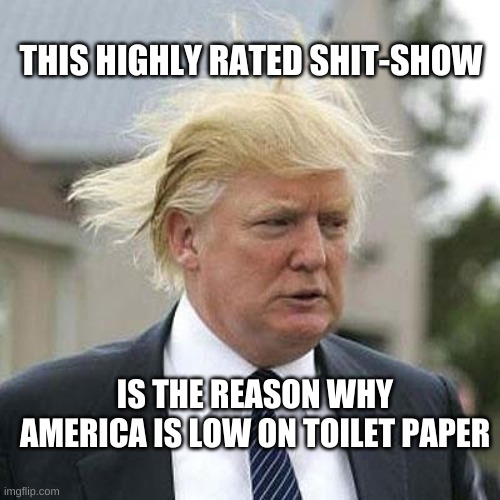 Donald Trump | THIS HIGHLY RATED SHIT-SHOW; IS THE REASON WHY AMERICA IS LOW ON TOILET PAPER | image tagged in donald trump | made w/ Imgflip meme maker
