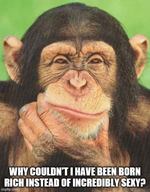 chimpanzee thinking | WHY COULDN'T I HAVE BEEN BORN RICH INSTEAD OF INCREDIBLY SEXY? | image tagged in chimpanzee thinking | made w/ Imgflip meme maker