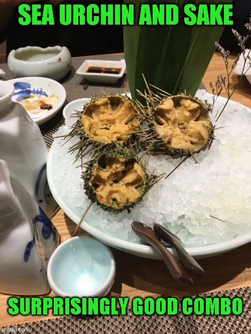 The hardest thing for me to agree to eat. Glad I did. | SEA URCHIN AND SAKE; SURPRISINGLY GOOD COMBO | image tagged in trip to china | made w/ Imgflip meme maker