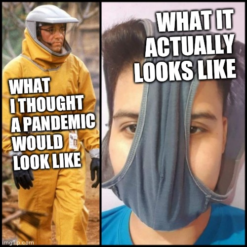 Pandemic | WHAT IT ACTUALLY LOOKS LIKE; WHAT I THOUGHT A PANDEMIC WOULD LOOK LIKE | image tagged in underwear,pandemic,coronavirus | made w/ Imgflip meme maker