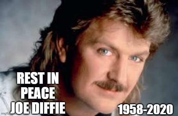 Celebrity deaths usually don't get to me, but this one hit me like a ton of bricks. | REST IN PEACE JOE DIFFIE; 1958-2020 | image tagged in country music,coronavirus,joe diffie | made w/ Imgflip meme maker