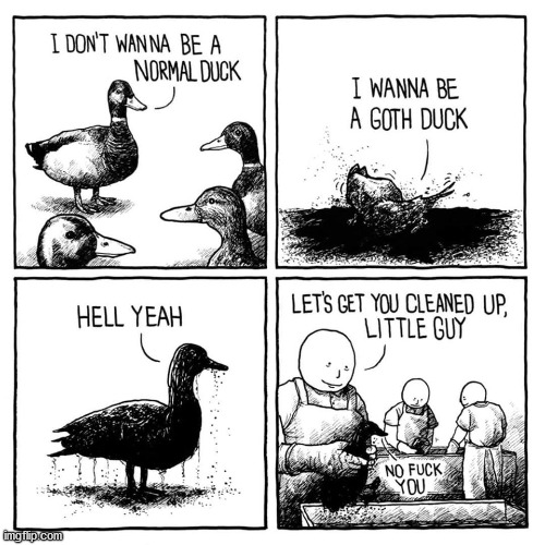 Goth Duck | image tagged in ducks,goth,goth duck hell yeah,hell yeah | made w/ Imgflip meme maker
