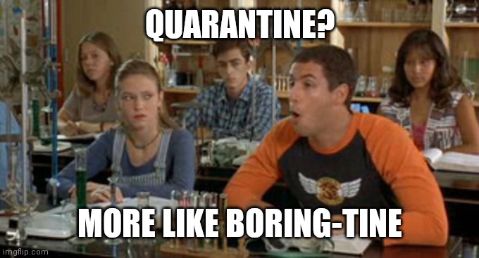 Billy Madison Chlorophyll | QUARANTINE? MORE LIKE BORING-TINE | image tagged in billy madison chlorophyll | made w/ Imgflip meme maker