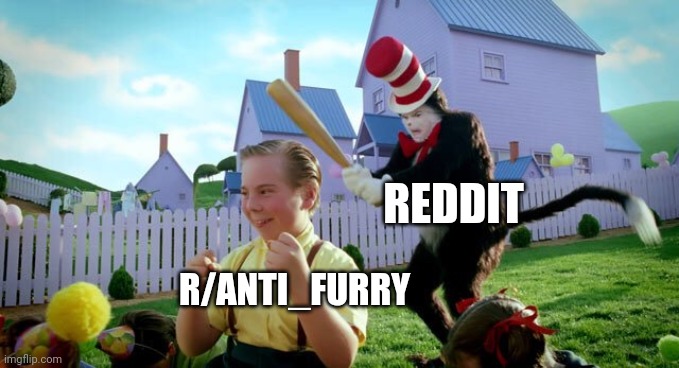 Cat & The Hat | R/ANTI_FURRY REDDIT | image tagged in cat  the hat | made w/ Imgflip meme maker