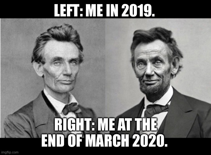 2020 in pictures | LEFT: ME IN 2019. RIGHT: ME AT THE END OF MARCH 2020. | image tagged in 2020 in pictures | made w/ Imgflip meme maker