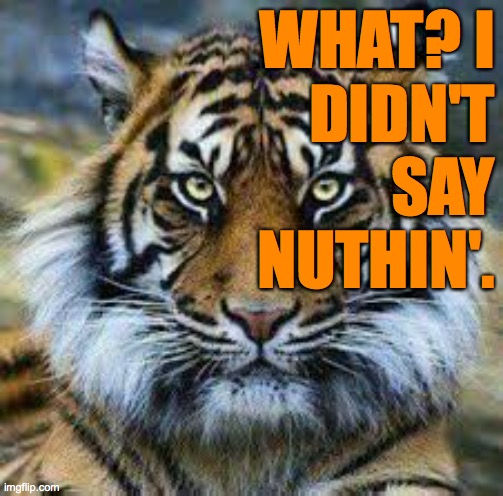 WHAT? I
DIDN'T
SAY
NUTHIN'. | made w/ Imgflip meme maker