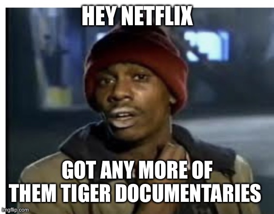 Dave Chappell | HEY NETFLIX; GOT ANY MORE OF THEM TIGER DOCUMENTARIES | image tagged in dave chappell | made w/ Imgflip meme maker