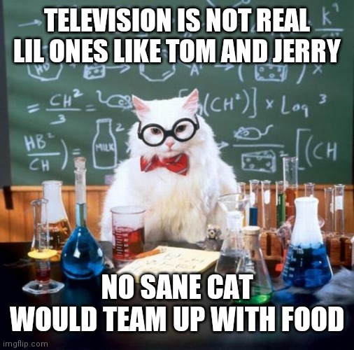 Chemistry Cat | TELEVISION IS NOT REAL LIL ONES LIKE TOM AND JERRY; NO SANE CAT WOULD TEAM UP WITH FOOD | image tagged in memes,chemistry cat | made w/ Imgflip meme maker