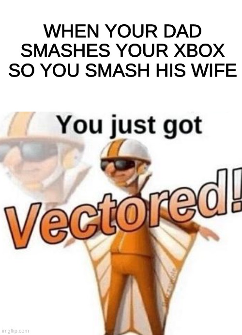 You just got vectored | WHEN YOUR DAD SMASHES YOUR XBOX SO YOU SMASH HIS WIFE | image tagged in you just got vectored | made w/ Imgflip meme maker