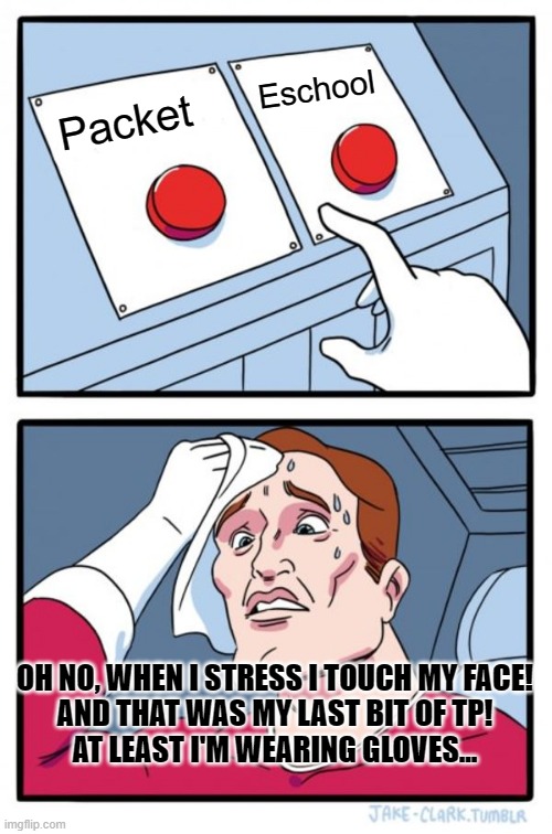 Two Buttons Meme | Eschool; Packet; OH NO, WHEN I STRESS I TOUCH MY FACE!
AND THAT WAS MY LAST BIT OF TP!
AT LEAST I'M WEARING GLOVES... | image tagged in memes,two buttons | made w/ Imgflip meme maker