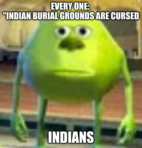 Sully Wazowski | EVERY ONE: 
"INDIAN BURIAL GROUNDS ARE CURSED; INDIANS | image tagged in sully wazowski | made w/ Imgflip meme maker