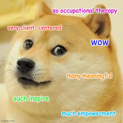 Doge Meme | so occupational therapy; very client- centered; wow; many meaningful; such inspire; much empowerment | image tagged in memes,doge | made w/ Imgflip meme maker