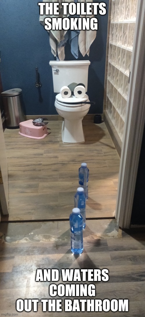 THE TOILETS SMOKING; AND WATERS COMING OUT THE BATHROOM | image tagged in memes | made w/ Imgflip meme maker