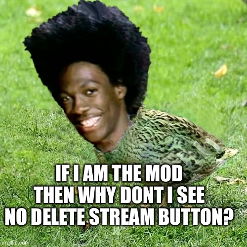 Duckith Wheatith | IF I AM THE MOD THEN WHY DONT I SEE NO DELETE STREAM BUTTON? | image tagged in duckith wheatith | made w/ Imgflip meme maker