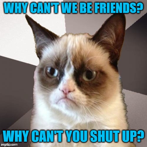 High school musical | WHY CAN'T WE BE FRIENDS? WHY CAN'T YOU SHUT UP? | image tagged in musically malicious grumpy cat,grumpy cat,angry cat,cats,funny cats | made w/ Imgflip meme maker